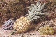 John Sherrin A Pineapple and Grapes on a mossy Bank (mk37) Spain oil painting artist